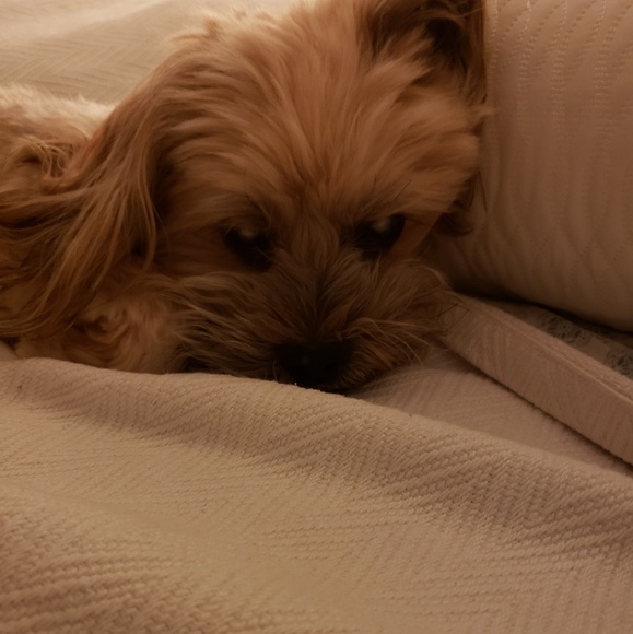 Meet your Posher, Stephanie. - Picture 1 of 1